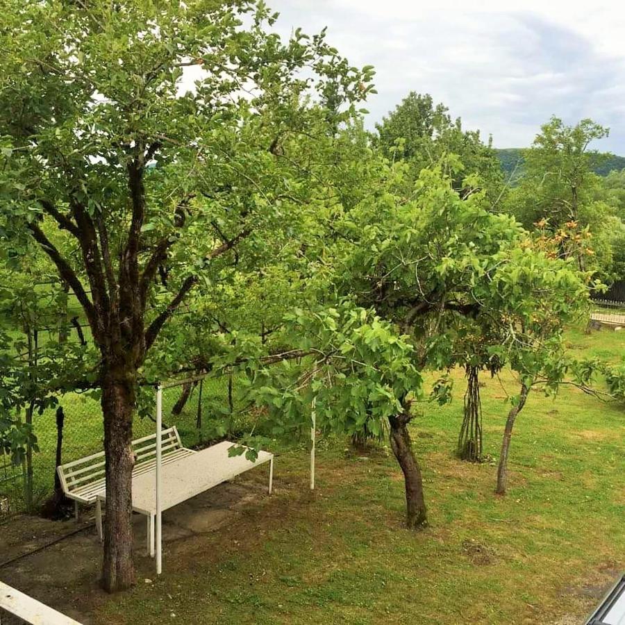 Guest House Star Martvili Exterior photo